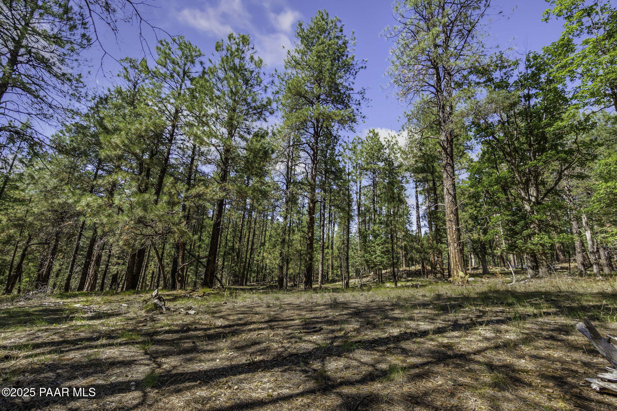 00 S Comstock Mine Road