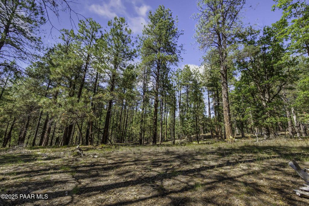 Photo of 00 S Comstock Mine Road, Prescott, AZ 86303 (MLS # 1076427)