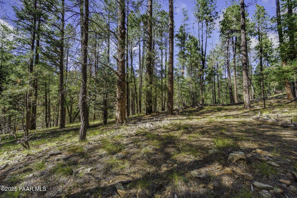 Photo of 00 S Comstock Mine Road, Prescott, AZ 86303 (MLS # 1076427)