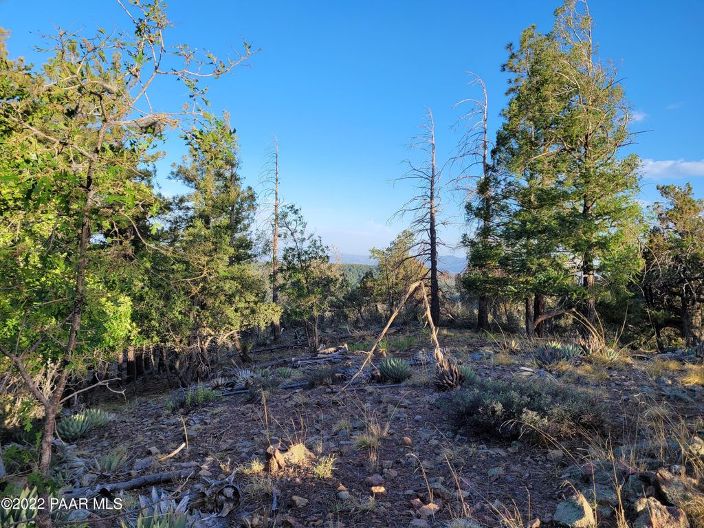 Photo of 78 S Big Bug Mesa Road, Prescott, AZ 86303 (MLS # 1076596)