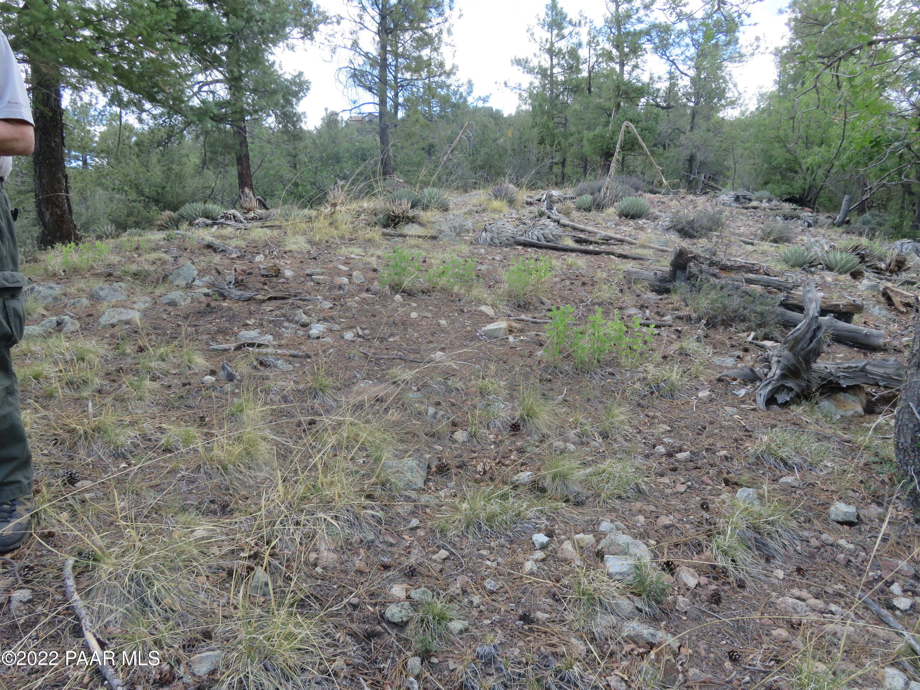 78xx S Big Bug Mesa Road