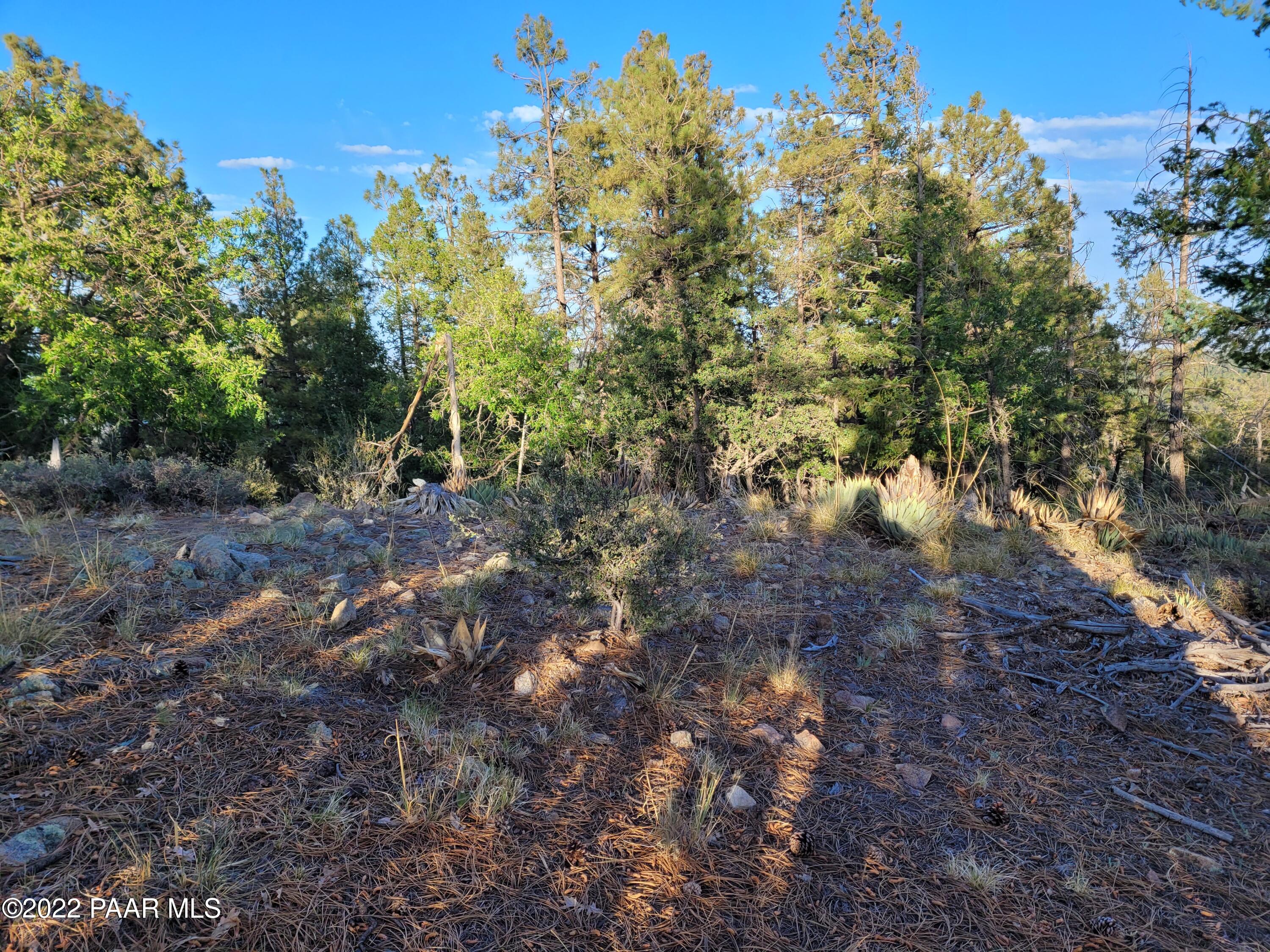 78xx S Big Bug Mesa Road