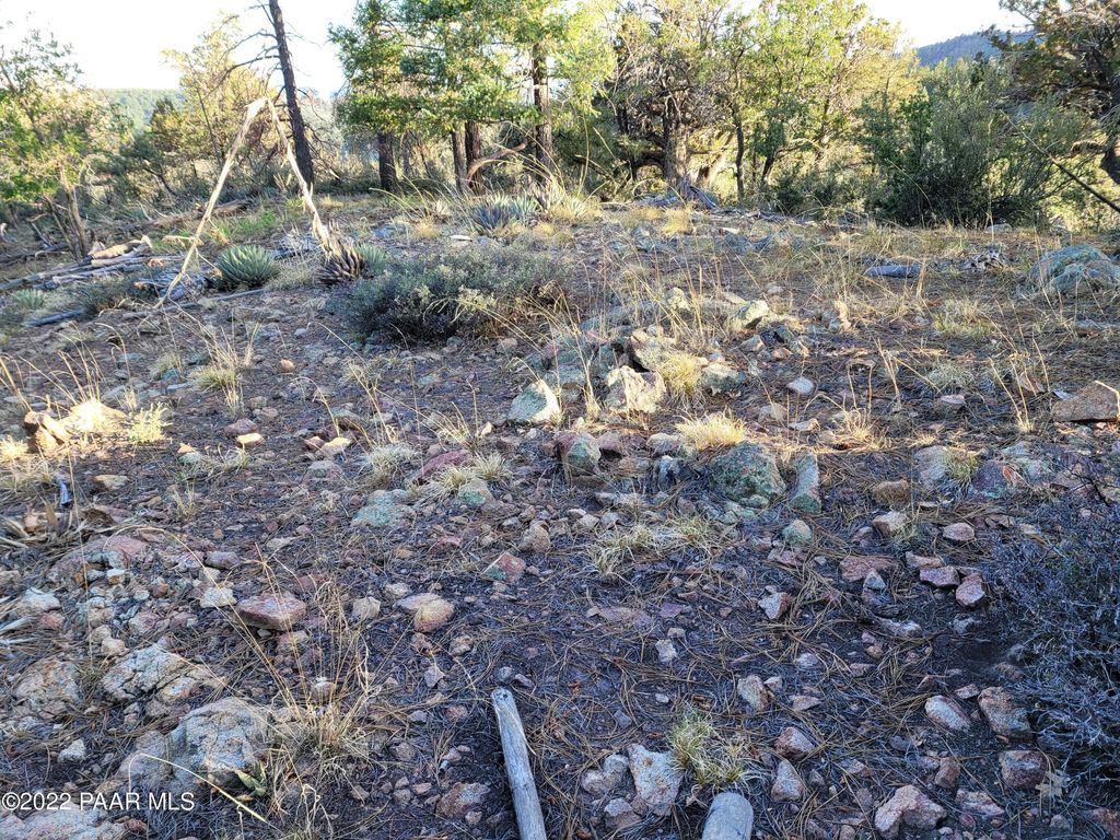 Photo of 78 S Big Bug Mesa Road, Prescott, AZ 86303 (MLS # 1076596)