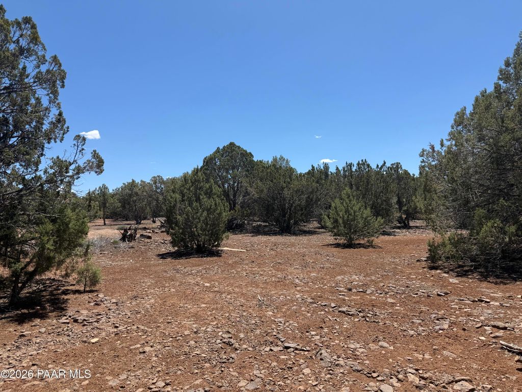 Photo of 18861890 White Tail Place, Show Low, AZ 85901 (MLS # 1081953)