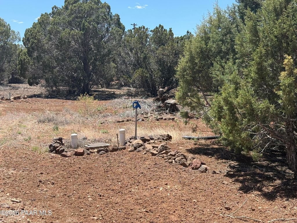Photo of 18861890 White Tail Place, Show Low, AZ 85901 (MLS # 1081953)