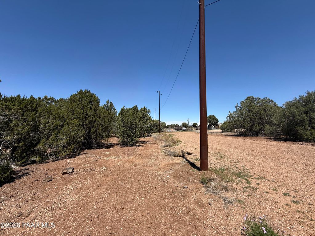Photo of 18861890 White Tail Place, Show Low, AZ 85901 (MLS # 1081953)