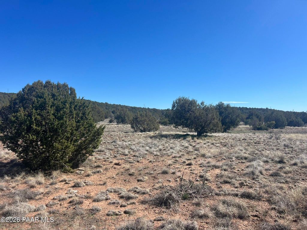Photo of 878 Fairview Drive, Williams, AZ 86046 (MLS # 1080139)