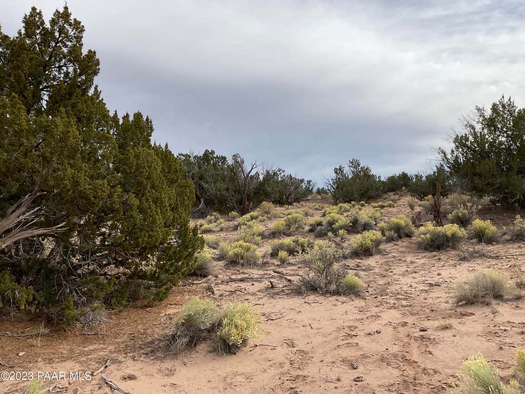 Photo of 937934 Woodland Valley Ranch, St. Johns, AZ 85936 (MLS # 1082565)