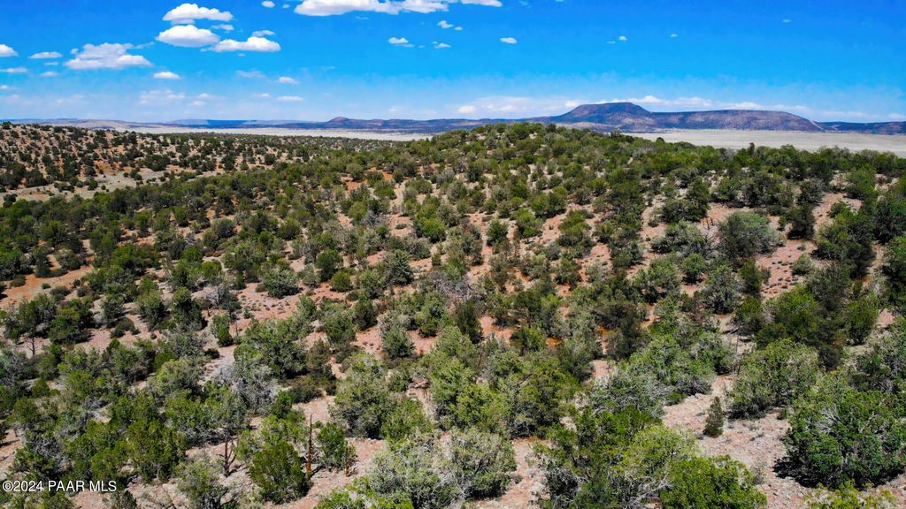 Photo of 30117010 Unnamed Rd (10 Acres), Seligman, AZ 86337 (MLS # 1081098)