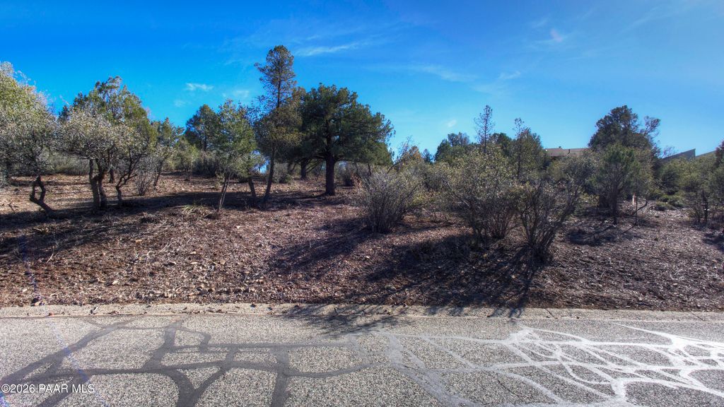 Photo of 3351 E Liese Drive, Prescott, AZ 86303 (MLS # 1079141)