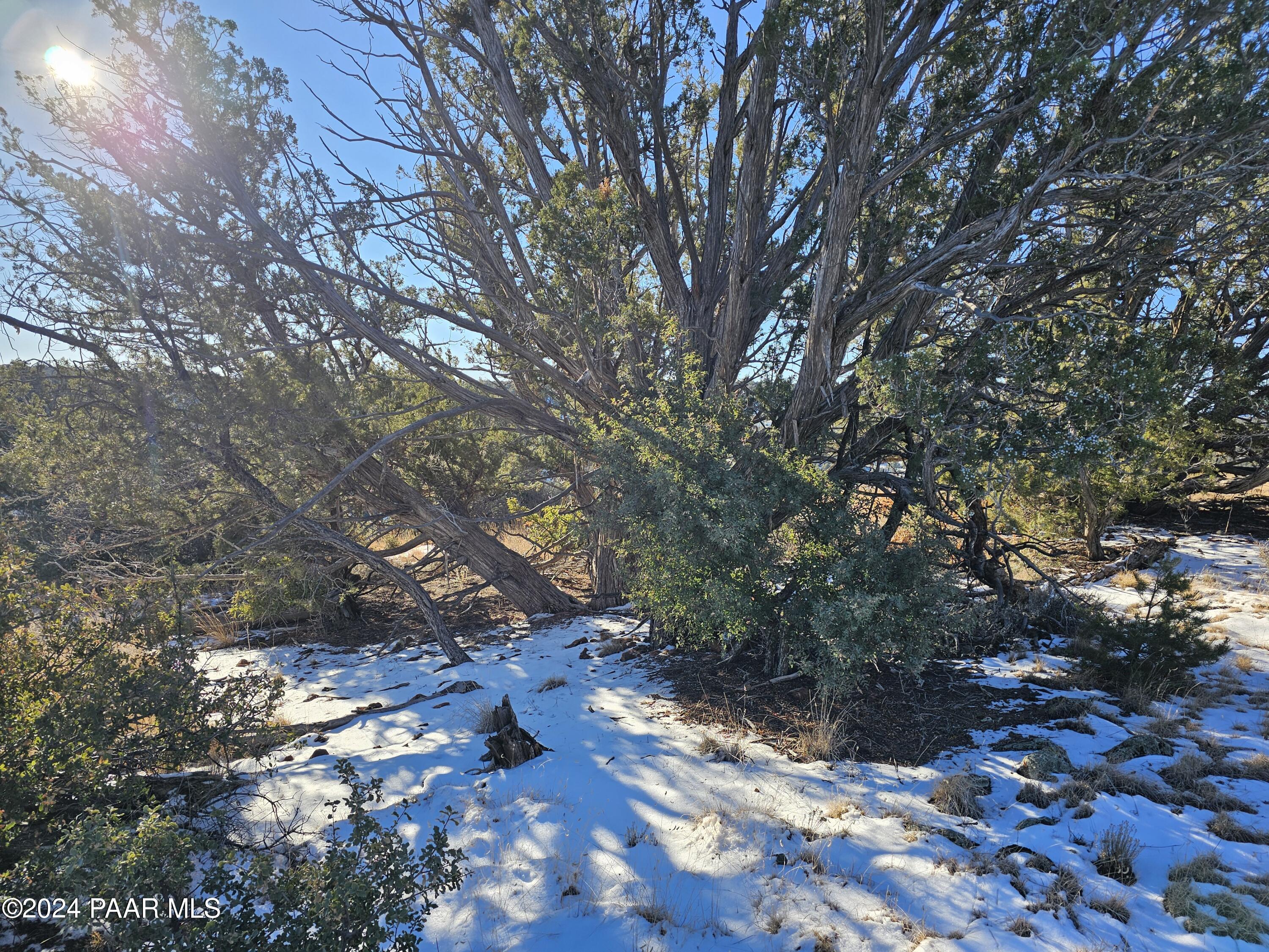 Lot 151 Forest Acres