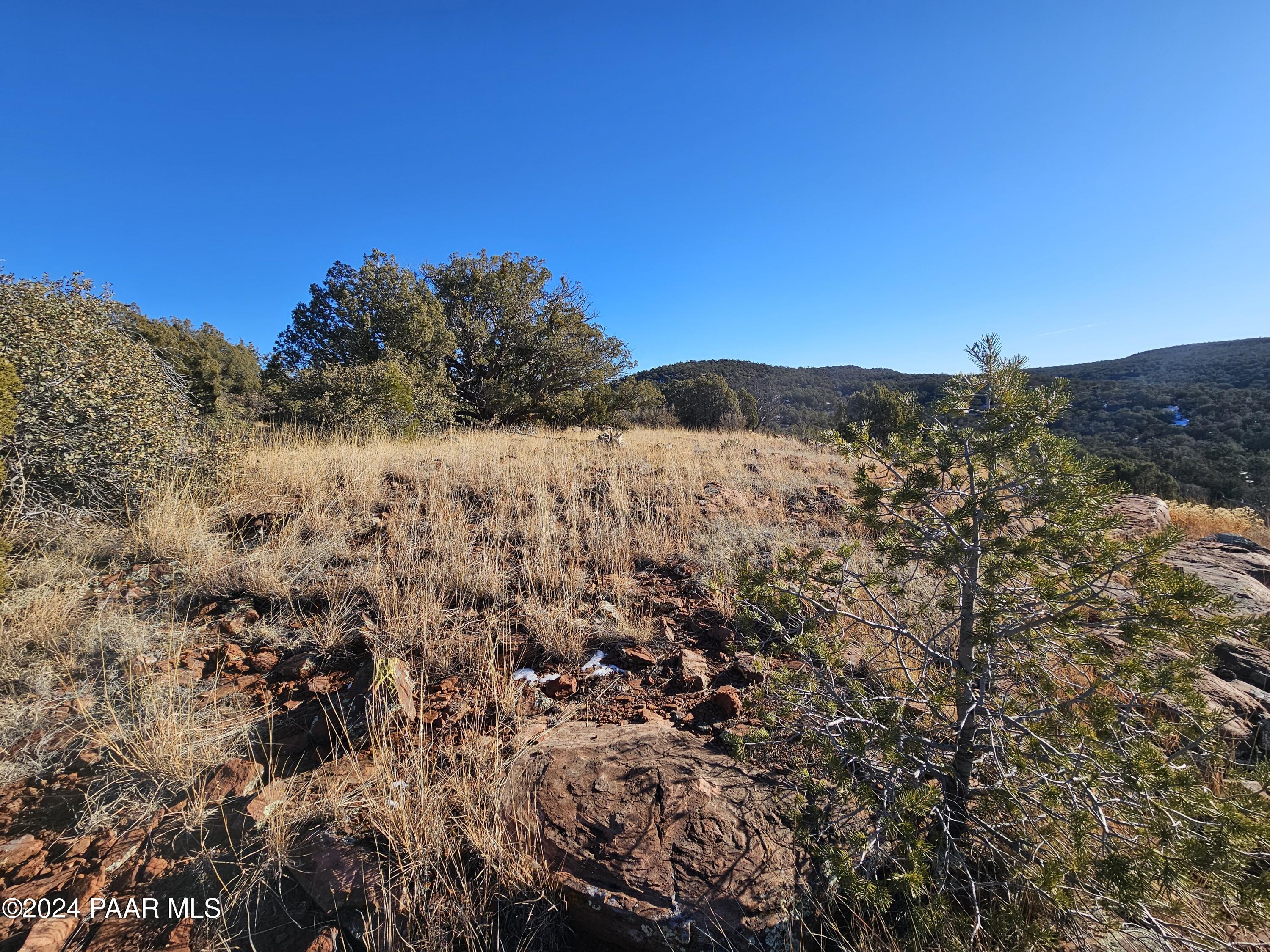 Lot 151 Forest Acres