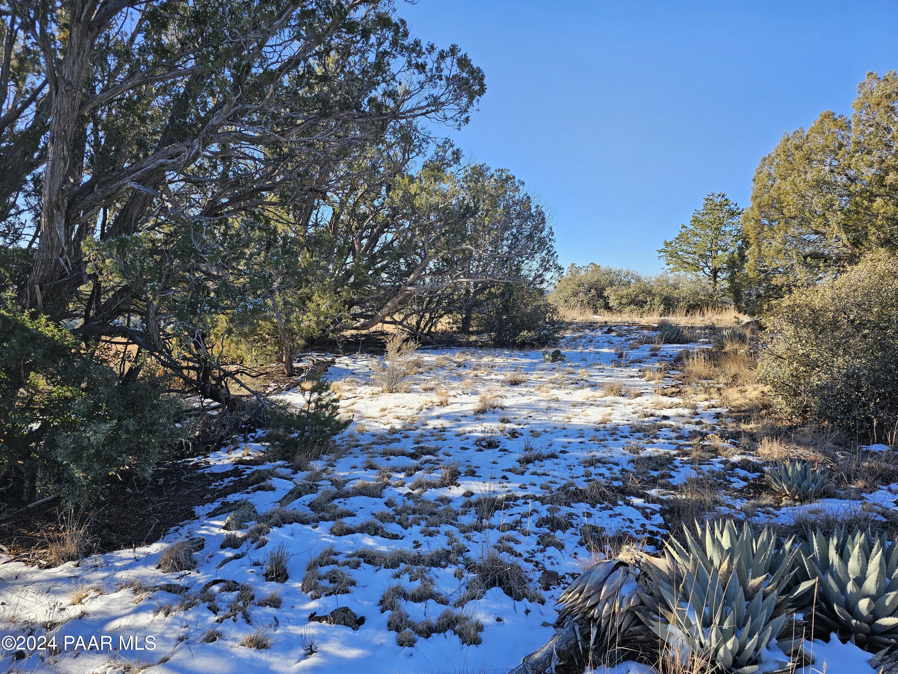 Lot 151 Forest Acres