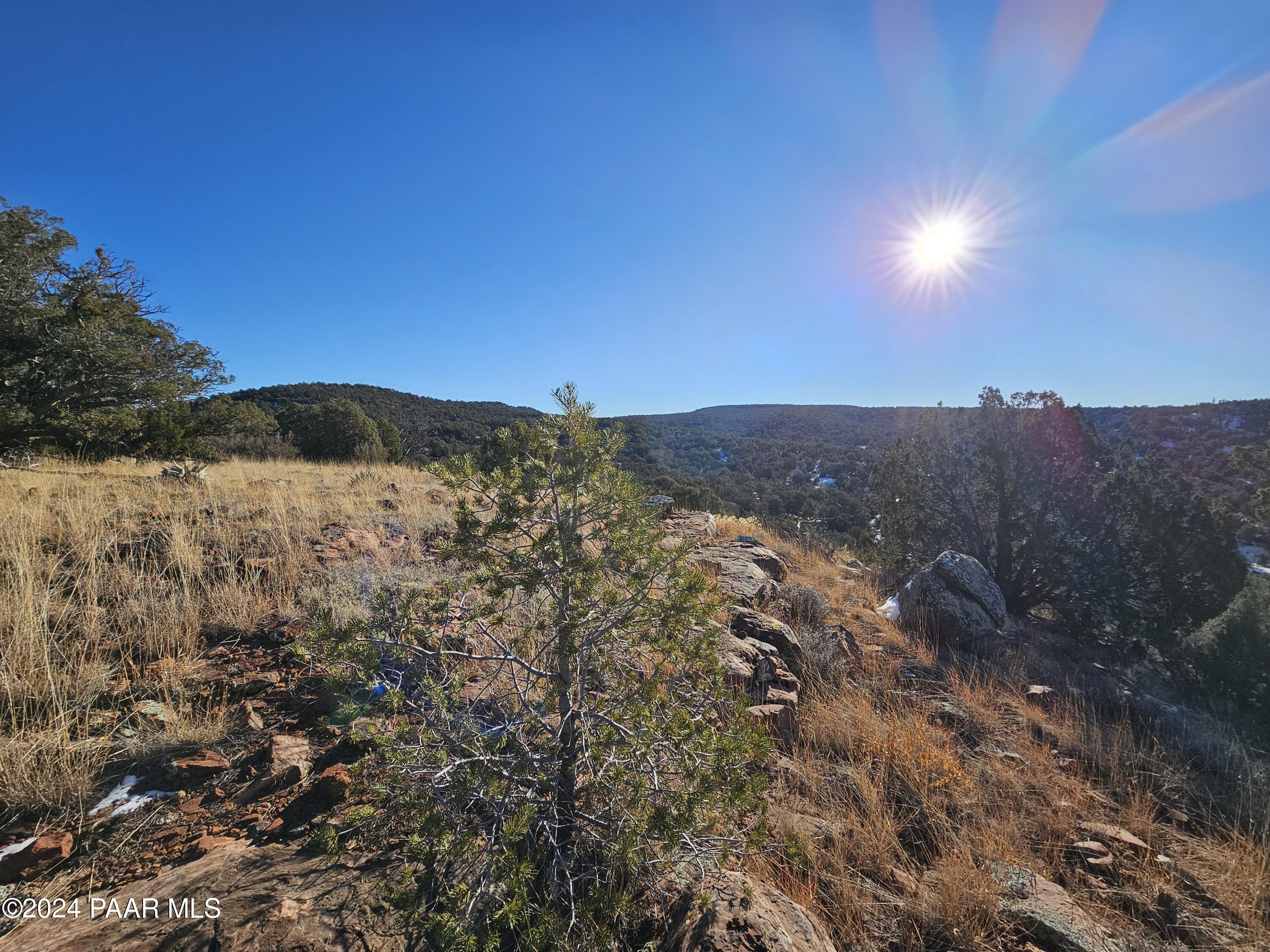 Lot 151 Forest Acres
