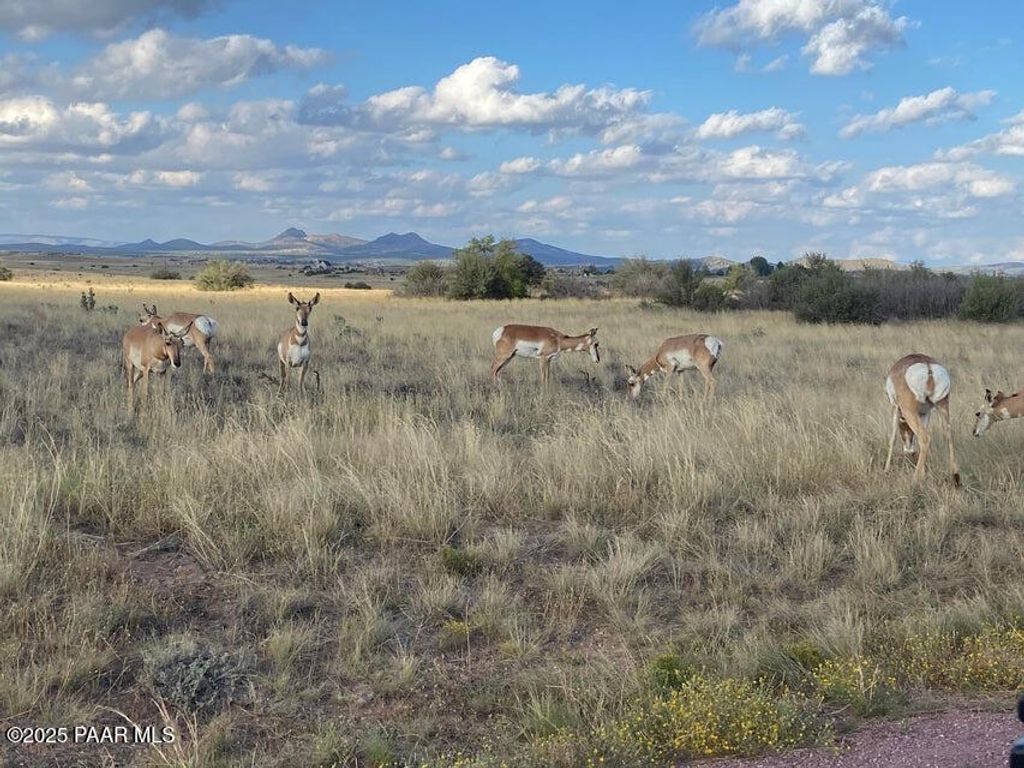 Photo of 0 W Long Meadow - Lot 42 Drive, Prescott, AZ 86305 (MLS # 1080052)