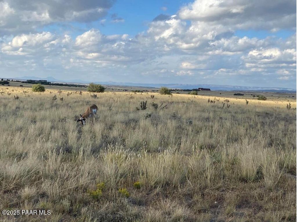 Photo of 0 W Long Meadow - Lot 42 Drive, Prescott, AZ 86305 (MLS # 1080052)