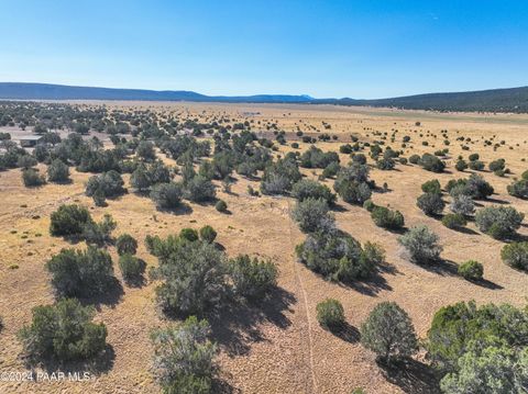 A home in Seligman