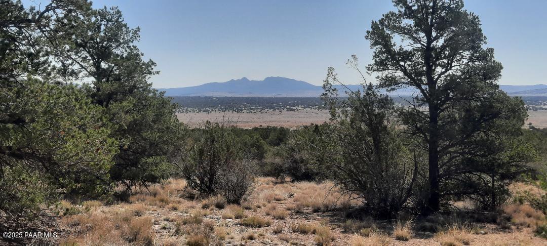 Xxxx Shadow Mtn Pkwy