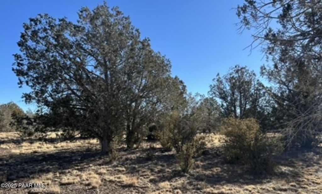 Photo of 3264 N Marilyn Way, Williams, AZ 86046 (MLS # 1076992)
