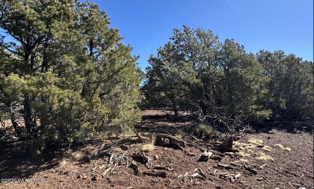 Photo of 3264 N Marilyn Way, Williams, AZ 86046 (MLS # 1076992)