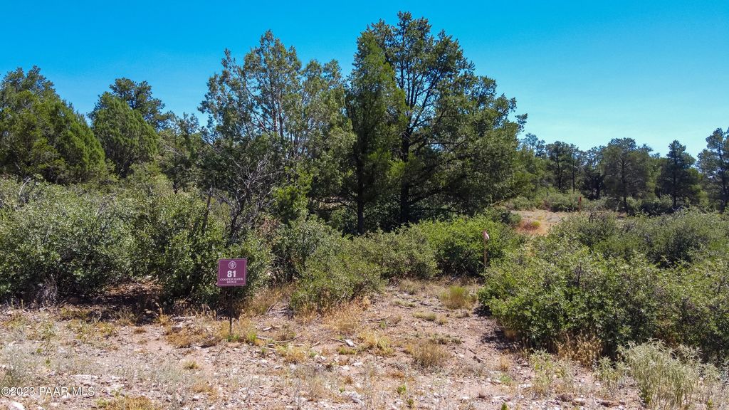 Photo of 5886 W Maddie Lane, Prescott, AZ 86305 (MLS # 1076838)