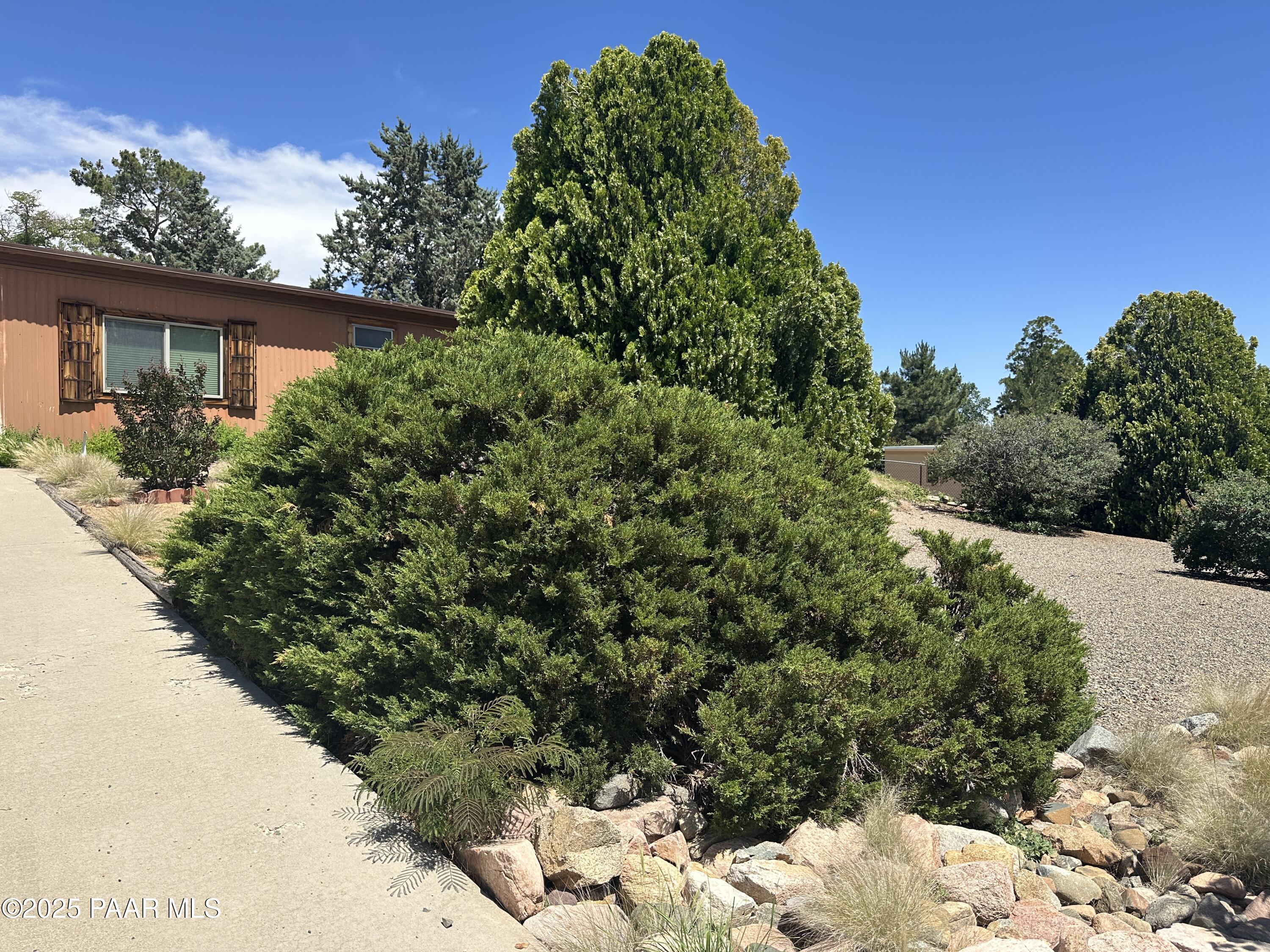 1341 Albino Trail