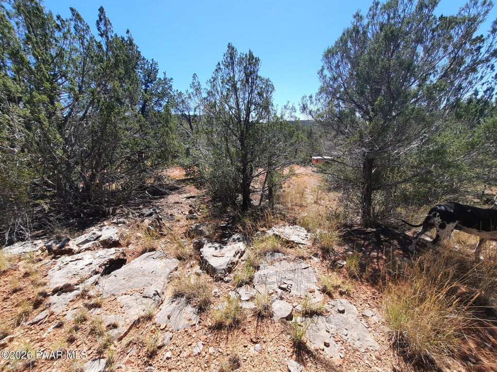 Photo of 30260 W Circle Drive, Seligman, AZ 86337 (MLS # 1085211)