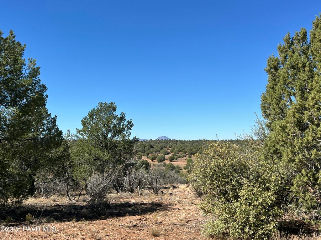 Photo of 9 Off Ranch Rd, Ash Fork, AZ 86320 (MLS # 1076982)