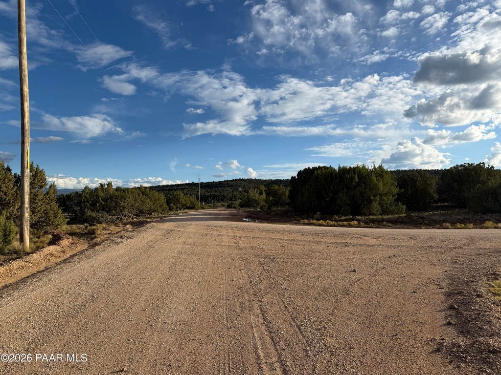Photo of 44 County Road 8097, Concho, AZ 85924 (MLS # 1079360)