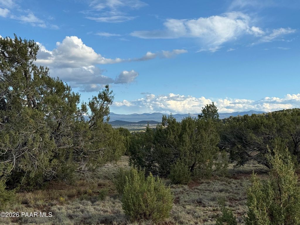 Photo of 44 County Road 8097, Concho, AZ 85924 (MLS # 1079360)