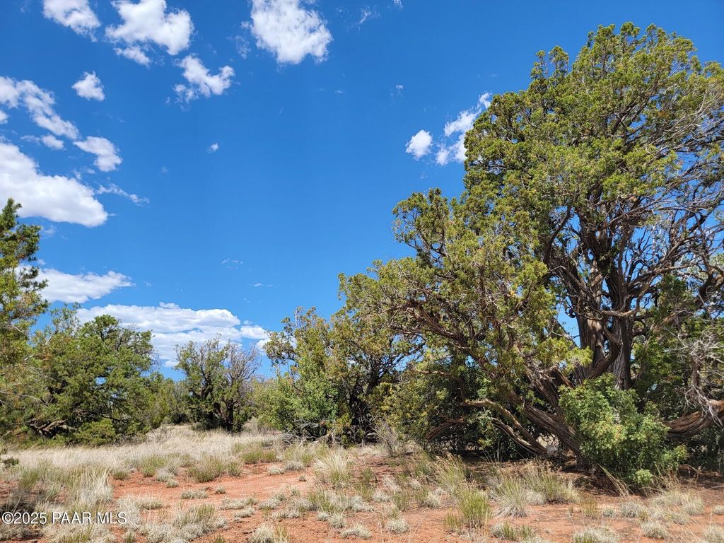 Photo of 663 S Lodestar Drive, Williams, AZ 86046 (MLS # 1077974)