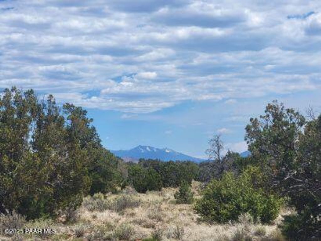 Photo of 663 S Lodestar Drive, Williams, AZ 86046 (MLS # 1077974)