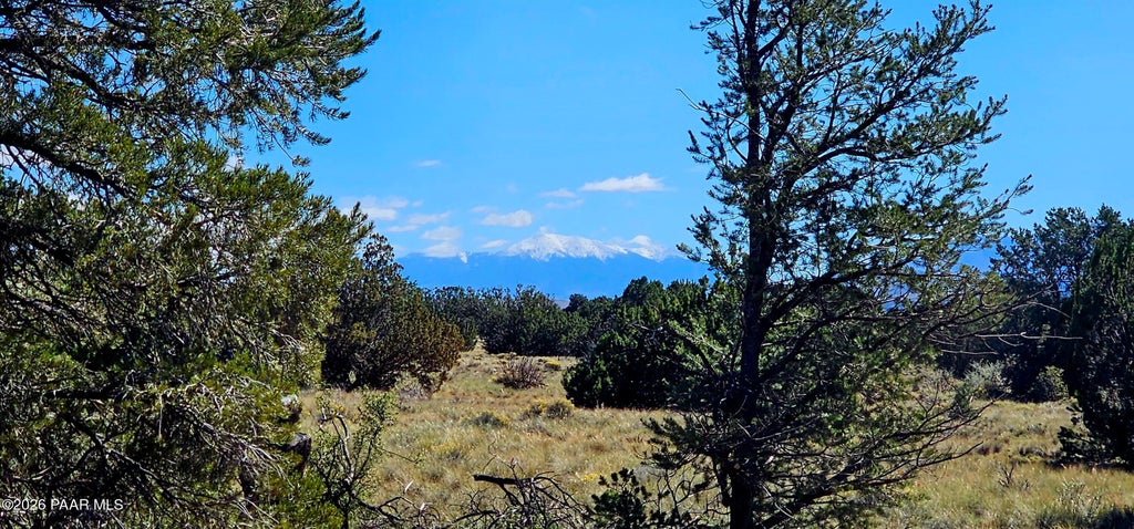 Photo of 2894 S Bluebell Road, Williams, AZ 86046 (MLS # 1085912)