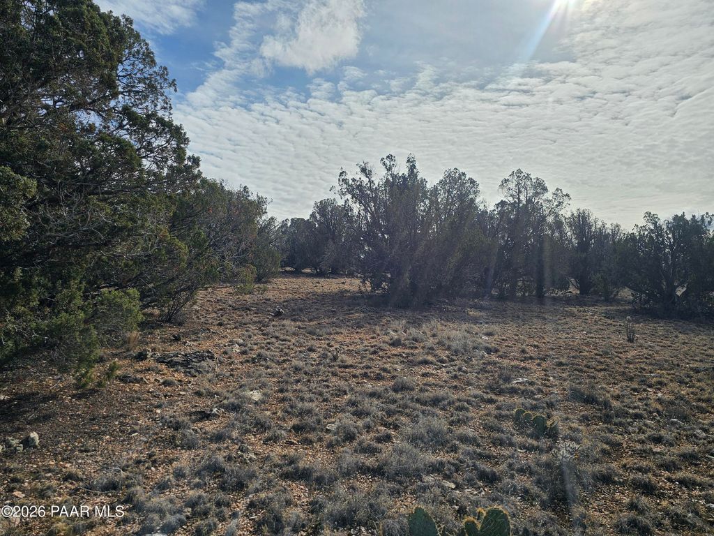 Photo of 56056 N Bridge Canyon Parkway, Seligman, AZ 86337 (MLS # 1078772)