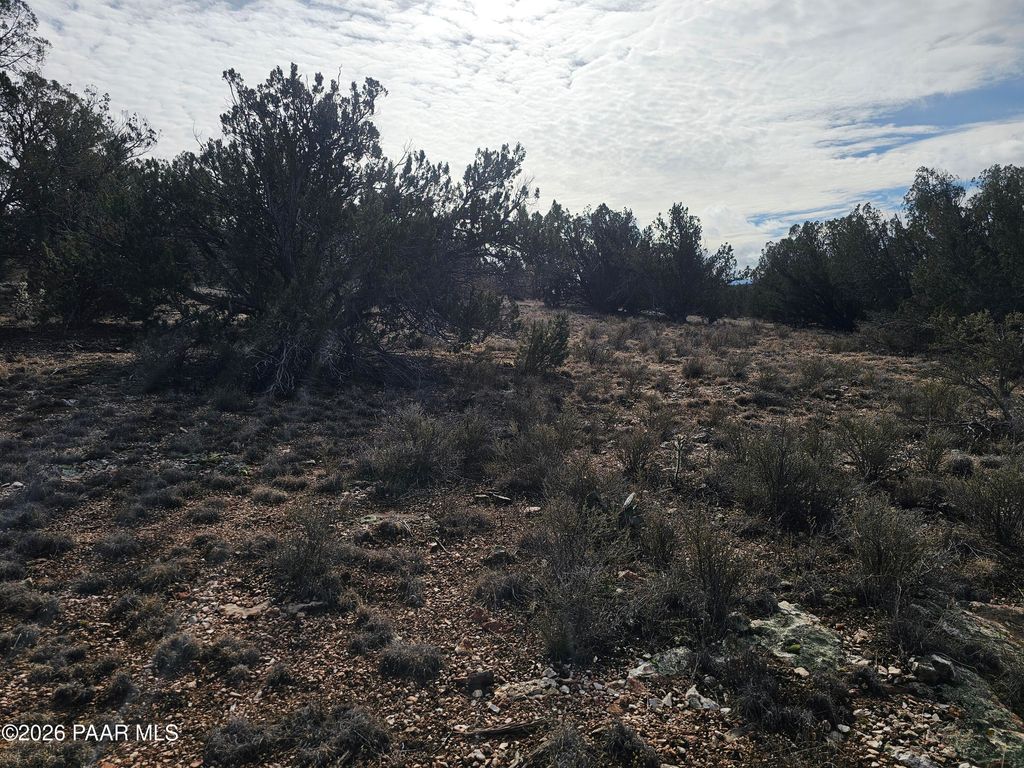 Photo of 56056 N Bridge Canyon Parkway, Seligman, AZ 86337 (MLS # 1078772)
