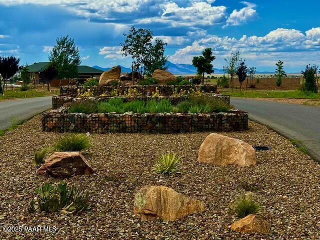 10176 E Songbird Lot 9 Way