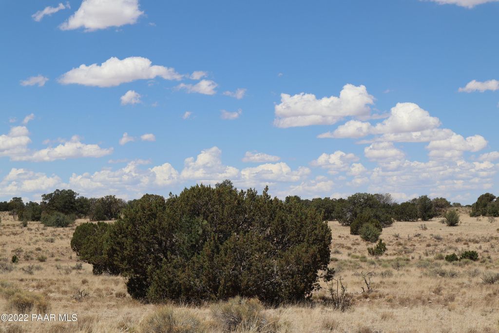 Photo of 904 S Wyandotte Road, Williams, AZ 86046 (MLS # 1077973)