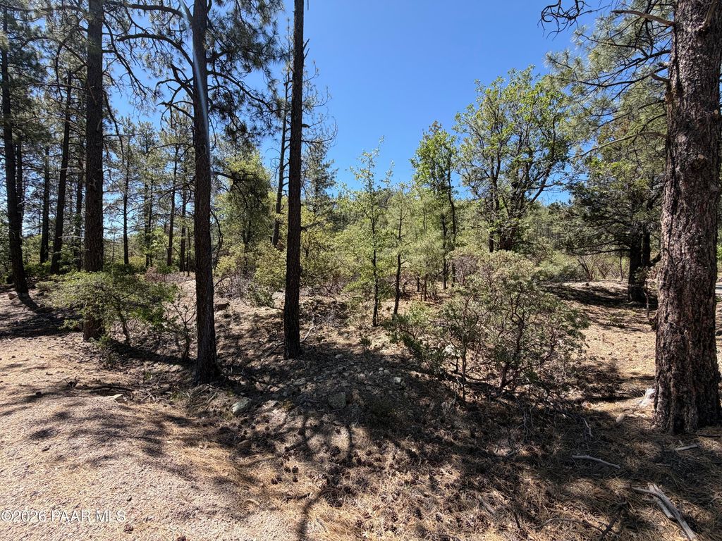 Photo of 1615 S High Valley Ranch Road, Prescott, AZ 86303 (MLS # 1082234)
