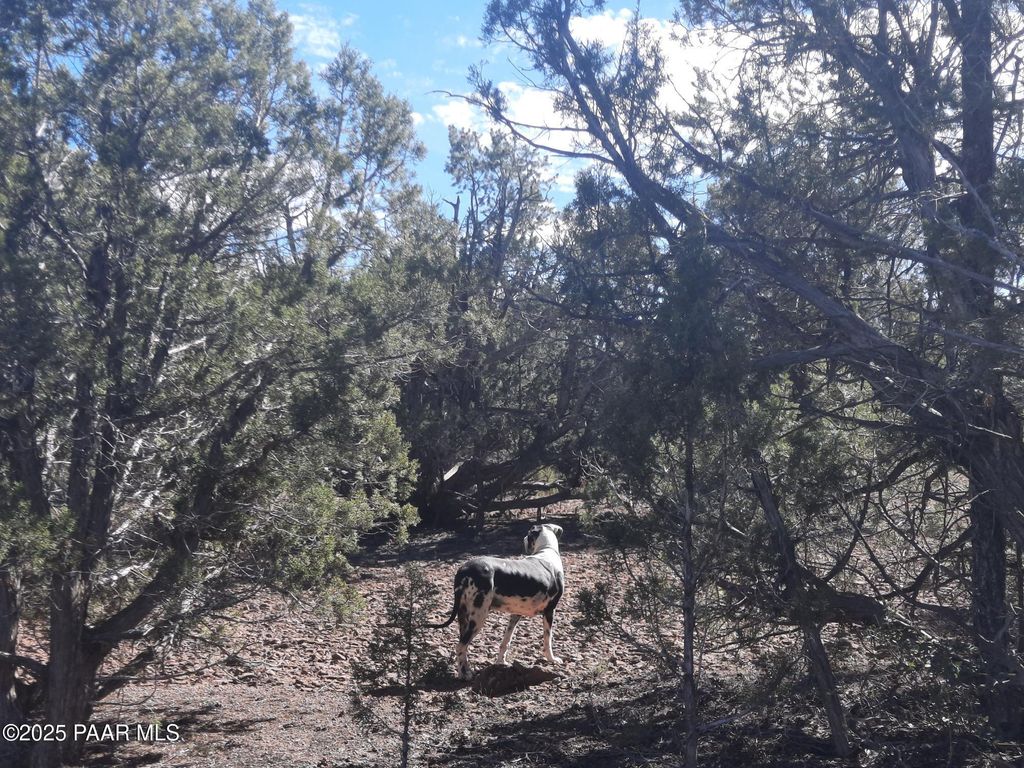 Photo of 602 Edge Ridge Rd, Seligman, AZ 86337 (MLS # 1077461)