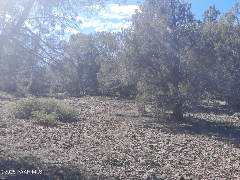 Photo of 602 Edge Ridge Rd, Seligman, AZ 86337 (MLS # 1077461)