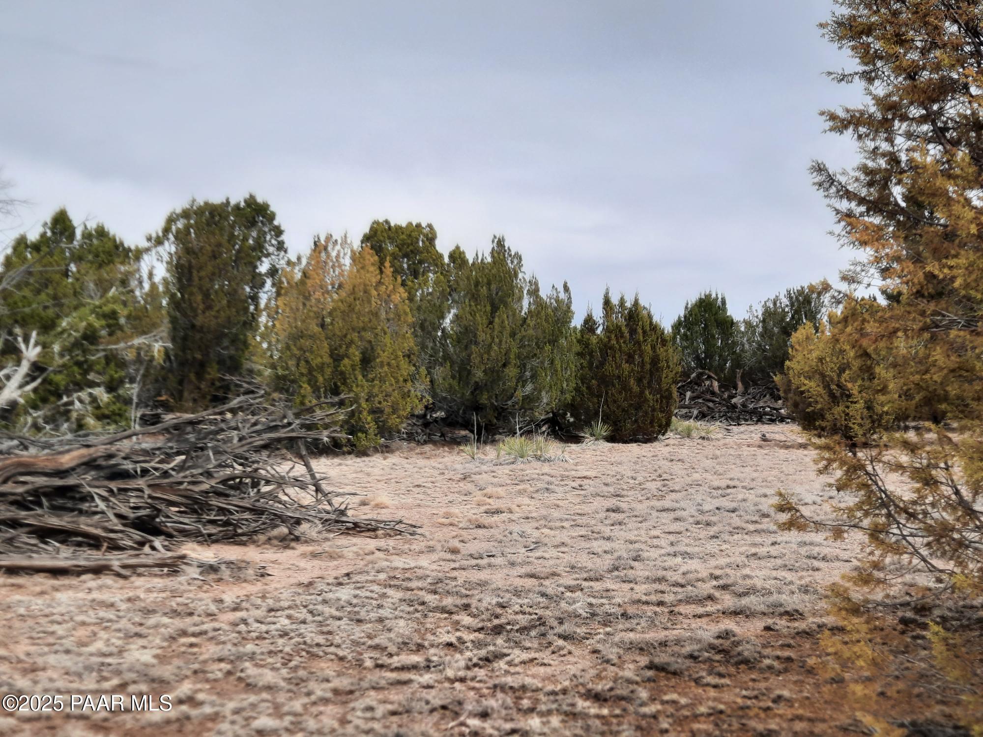 Lot 1320 Skedaddle Trail