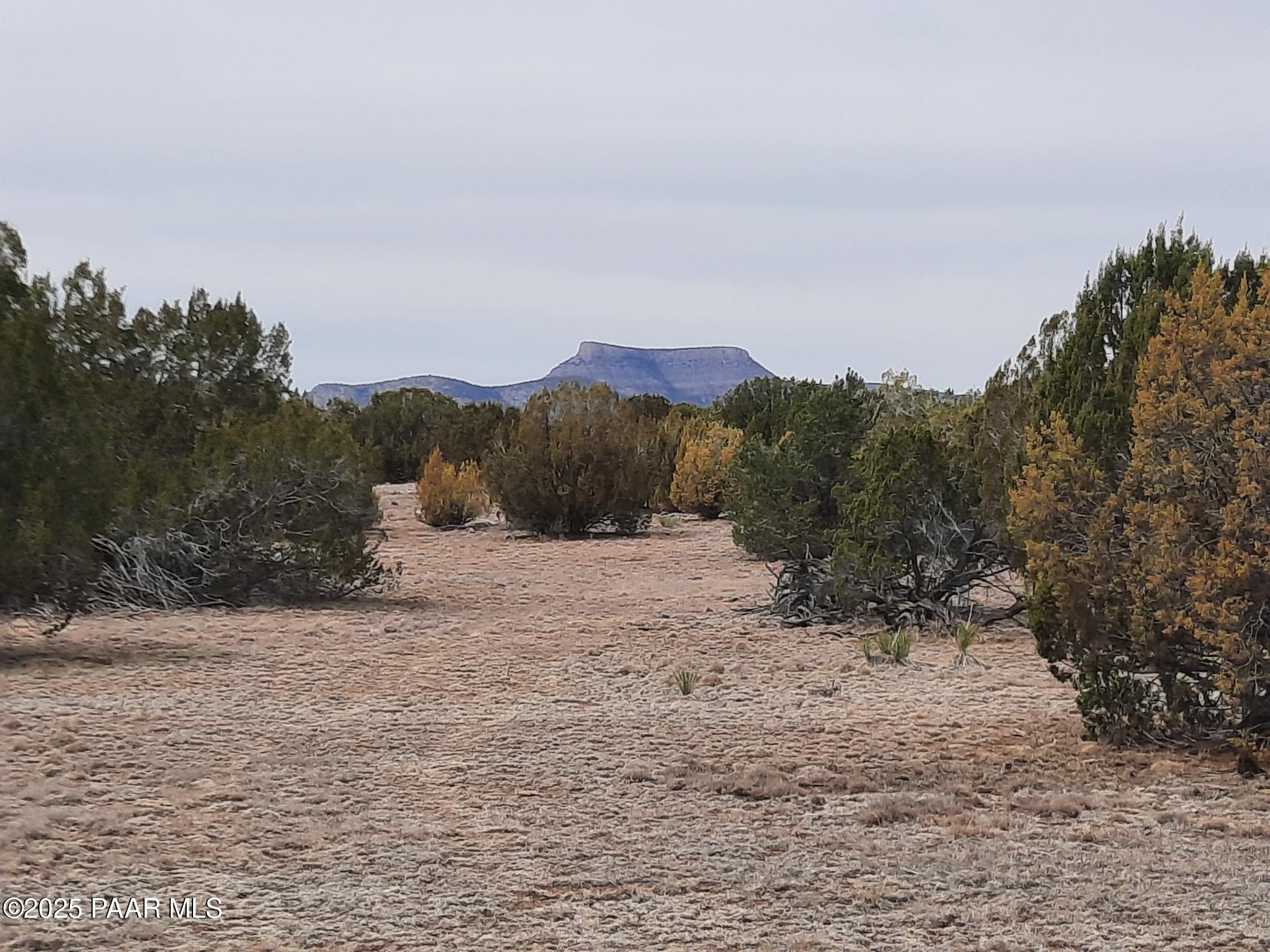 Lot 1320 Skedaddle Trail