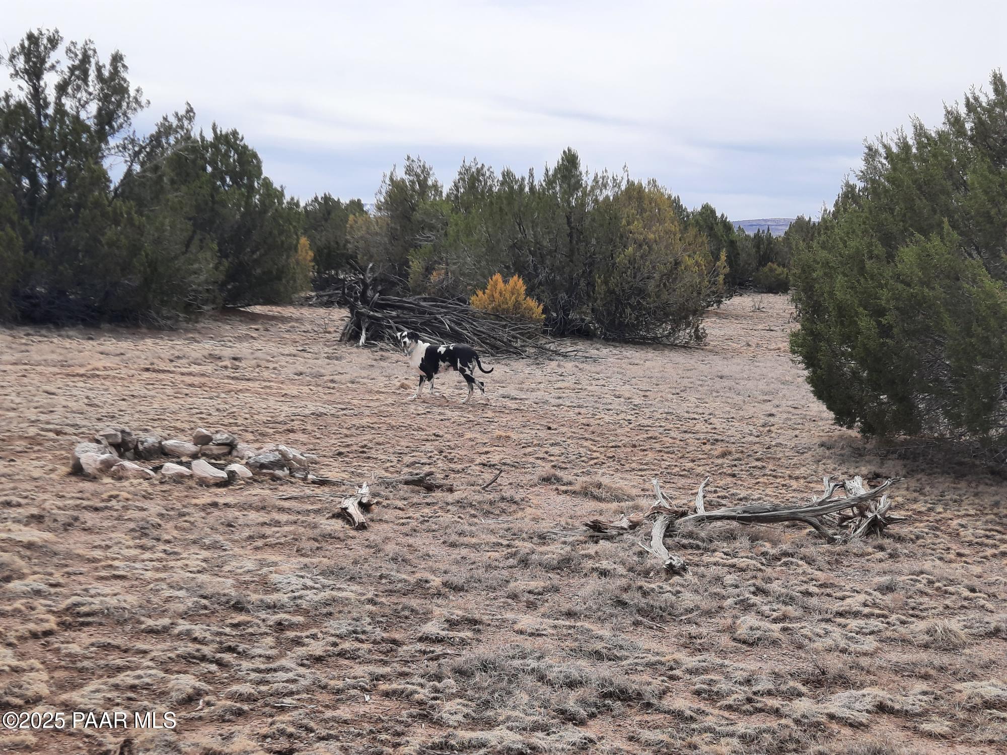 Lot 1320 Skedaddle Trail