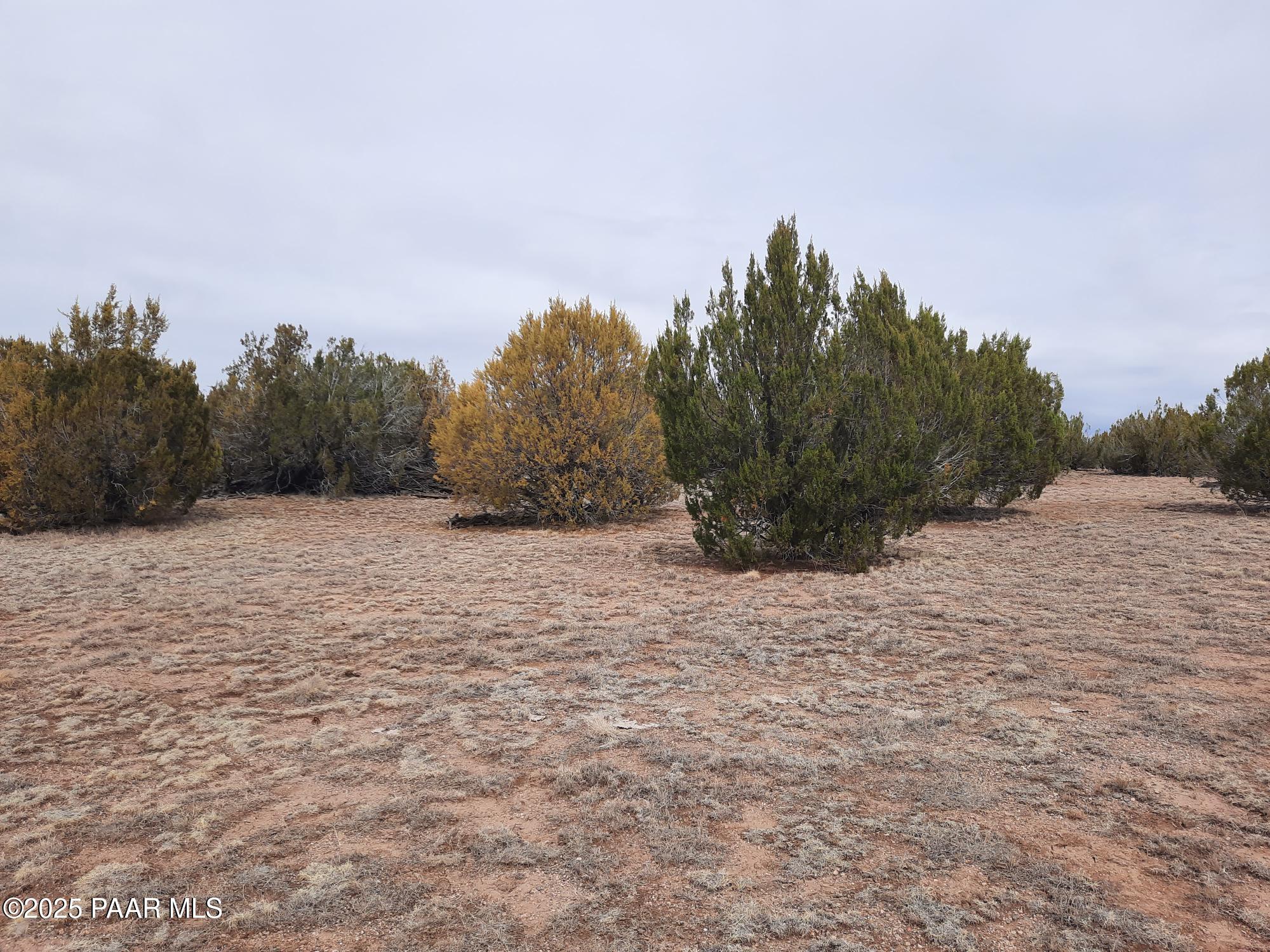 Lot 1320 Skedaddle Trail