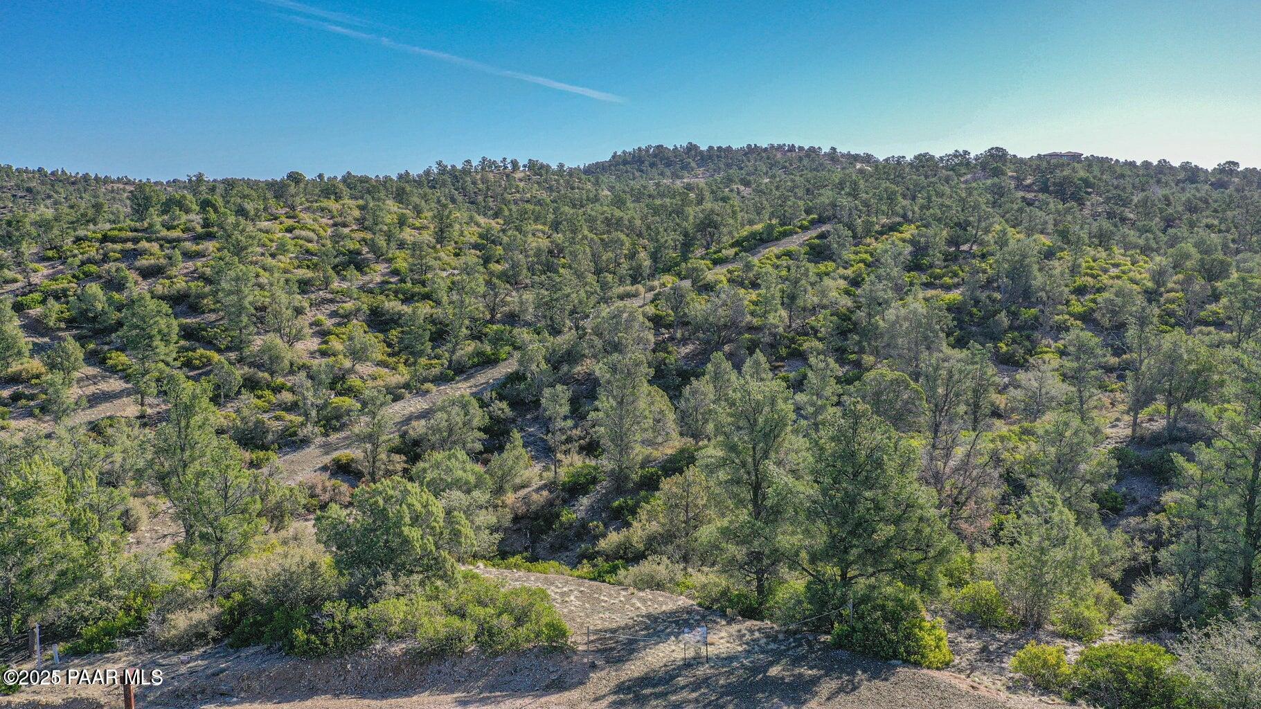 12775 Quartz Creek Trail