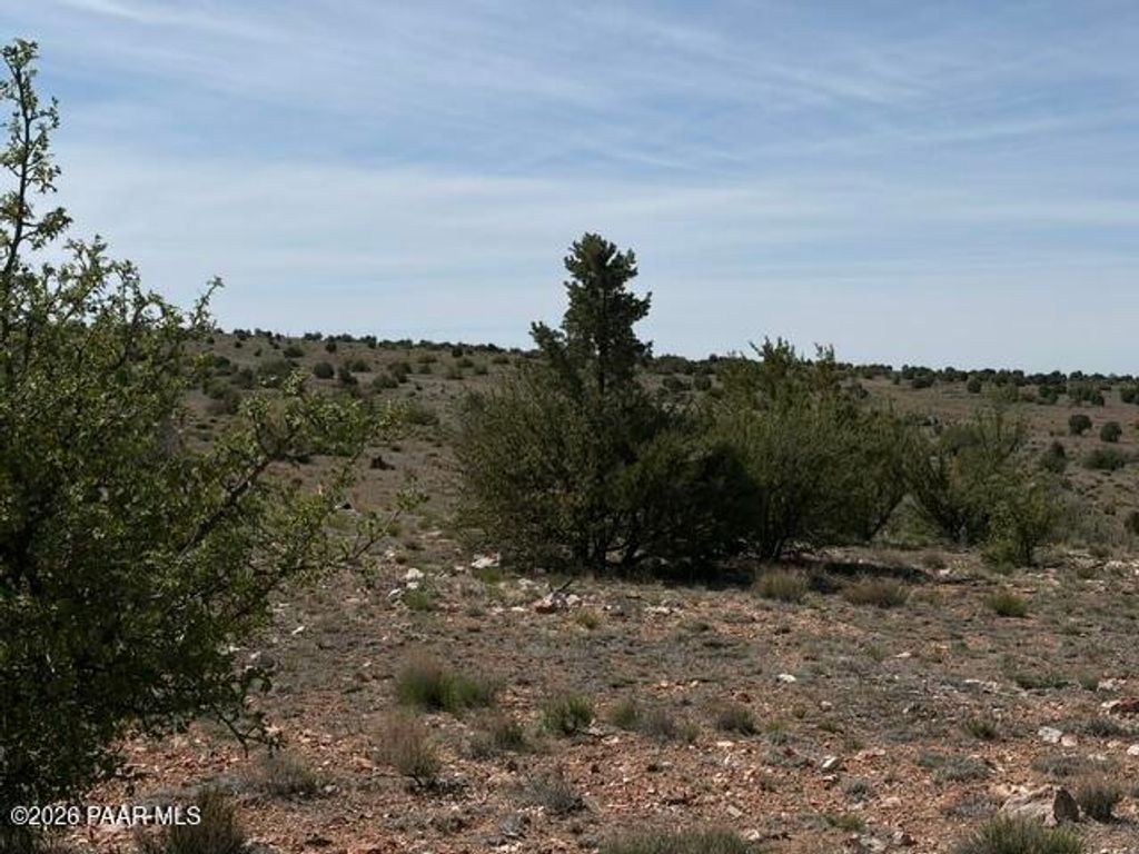 Photo of 363 Via Dolorosa, Seligman, AZ 86337 (MLS # 1082625)