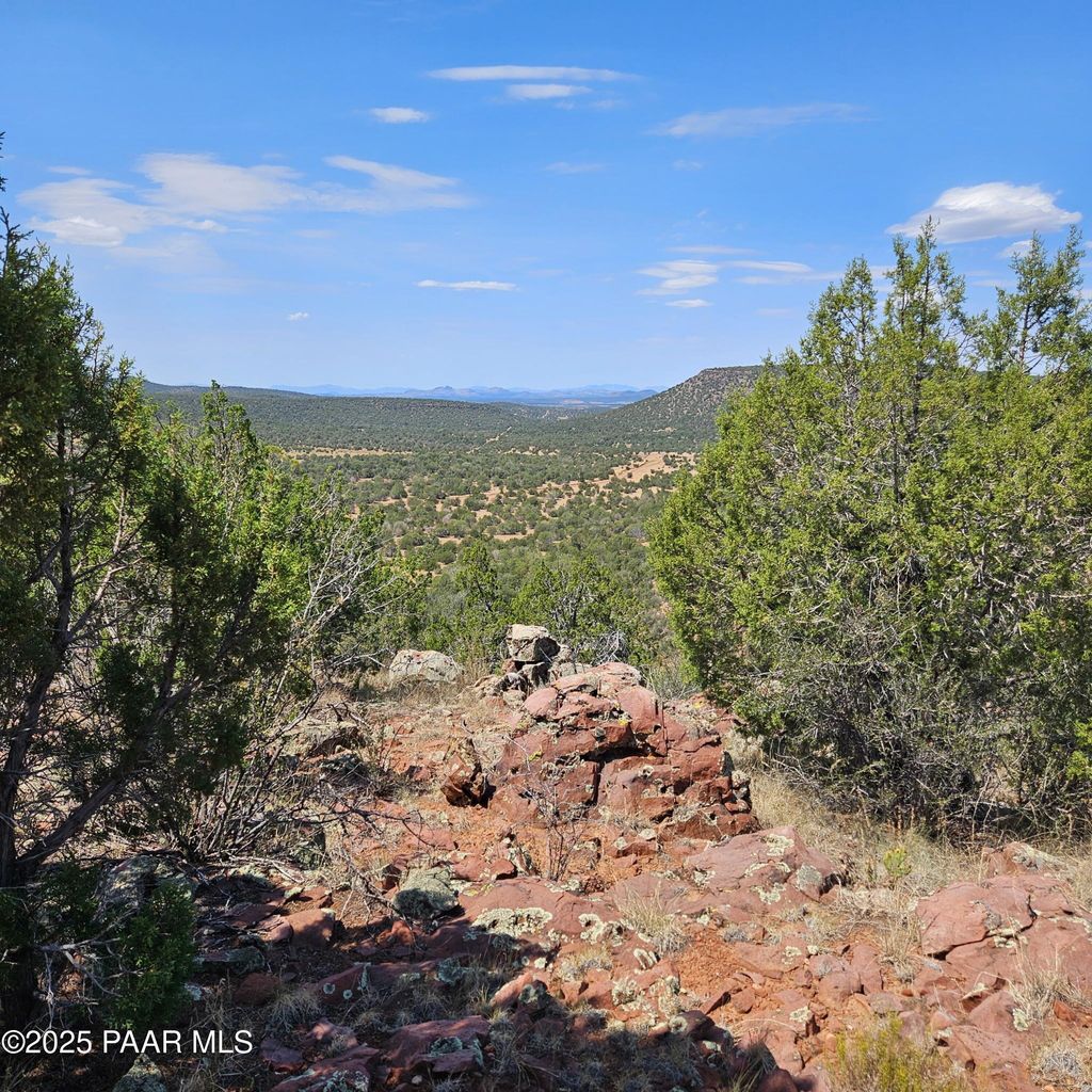 Photo of 330 Forest Acres Cir, Seligman, AZ 86337 (MLS # 1076715)