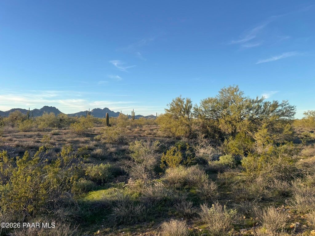 Photo of Xx00 N 315th Avenue, Wittmann, AZ 85361 (MLS # 1078994)