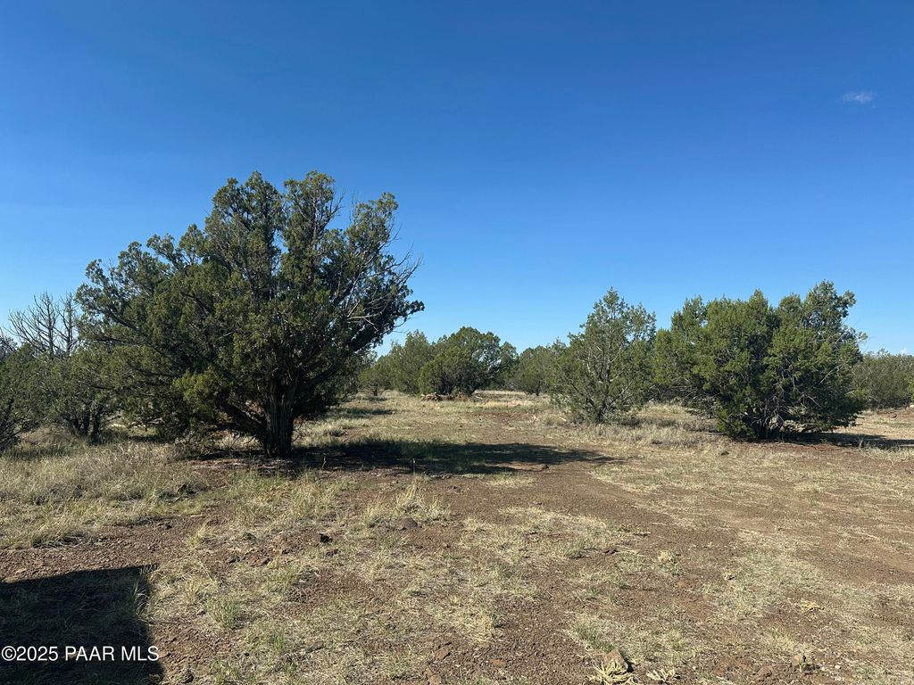 Photo of 1325 W Ralphs Circle, Ash Fork, AZ 86320 (MLS # 1076983)