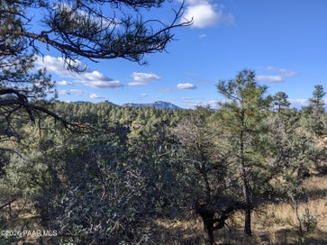 1009 Joseph Street Prescott AZ 86303